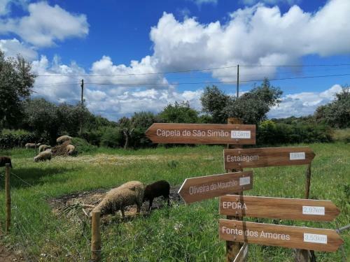 Agroturismo Casal Do Surdo