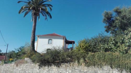 Casa Da Palmeira