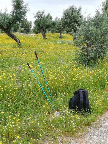 G�te Canto Azul