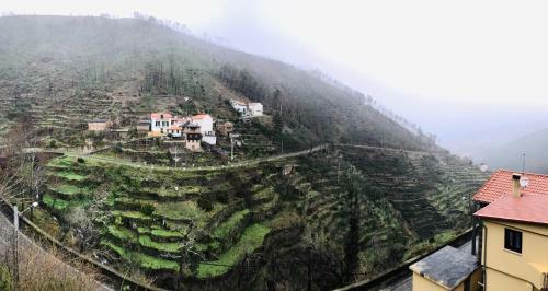 Olinda Home