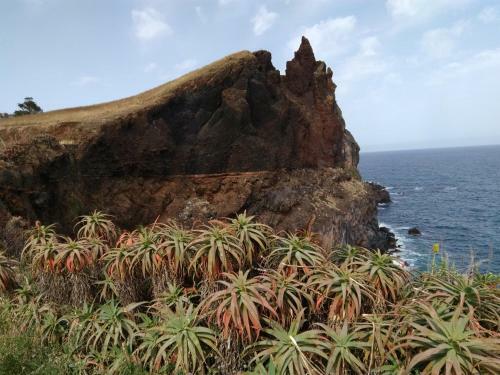 Apartamento Beachfront House Atalaia