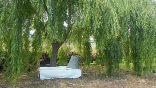 Wundersch�ne Finca In Canico