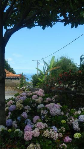 Wundersch�ne Finca In Canico