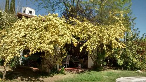Casa En Luj�n De Cuyo Con Pileta