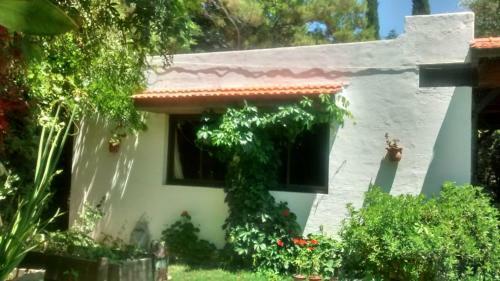 Casa En Luj�n De Cuyo Con Pileta