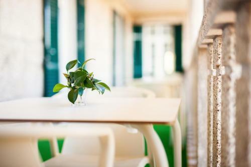 Hotel Fonte Velha