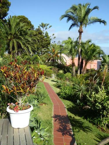 Apartamento Villa Erika Madeira