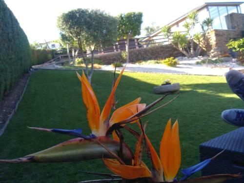 Agroturismo Canastro Country House