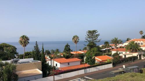 Madeira Mero Apartment