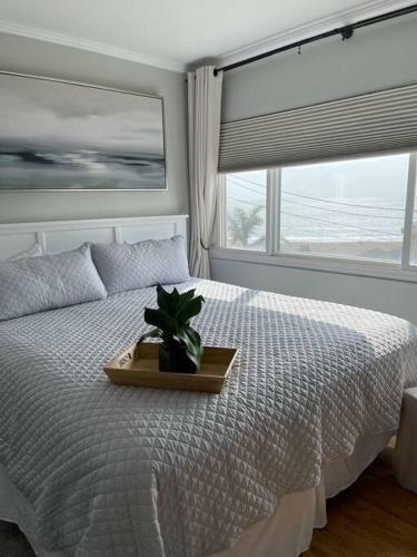 Incredible Los Angeles Beach Home With Amazing Ocean Views