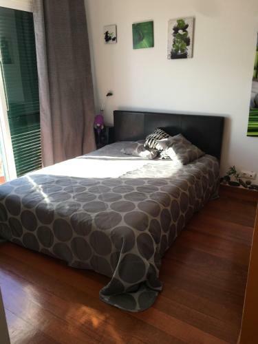 Apartamento Oceanview Penthouse