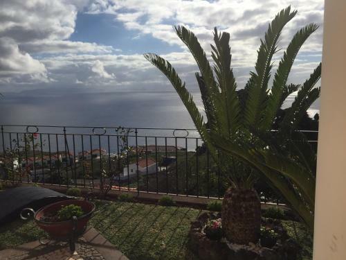 Villa Vila Tagus Garajau
