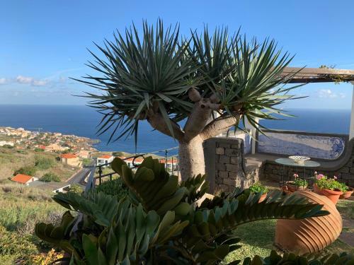 Villa Vila Tagus Garajau