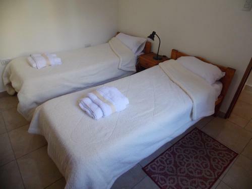 Apartamento Lujoso Y C�ntrico Departamento De 100 Mts 2