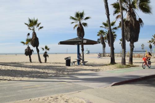Venice Beach Apartments Monthly Rents
