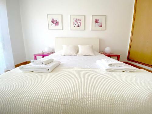 Apartment Castelo Branco - Portugal
