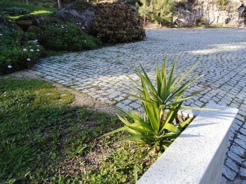 Quinta Souto Da Ordem - House