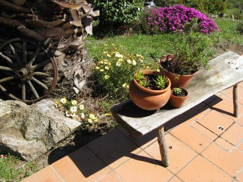 Bed & Breakfast Casa "quinta Souto Da Ordem"