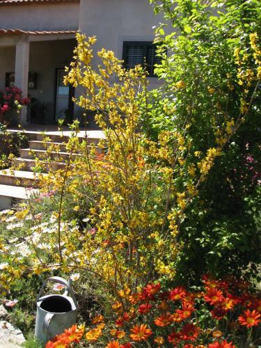Bed & Breakfast Casa "quinta Souto Da Ordem"