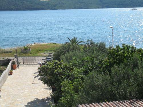 Apartments Branka