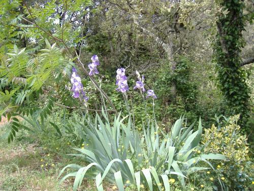 Les Jardins De Valaurie