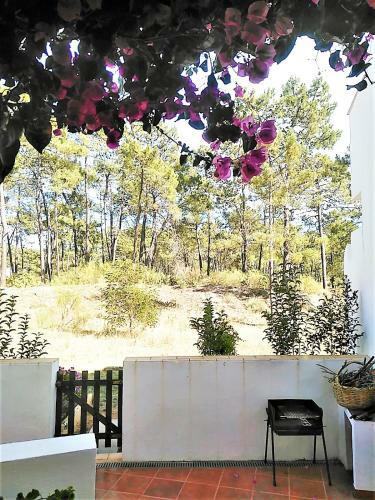 Apartamento Patio Beach House - Checkinhome