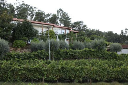 Quintinha Da Am�lia