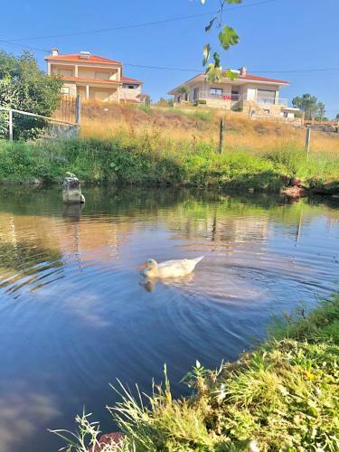 Casa Da Quinta Da Prelada Sim�o Partie Basse