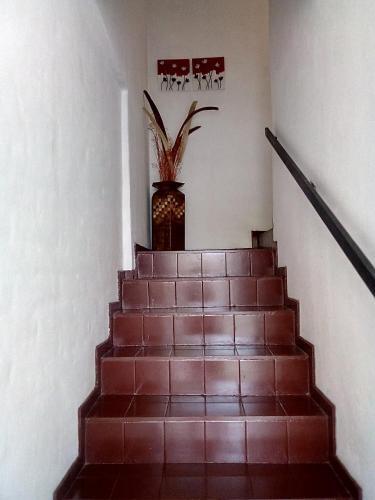 Apartments Renta Eva 2