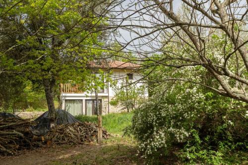 Villa Casa Da Eira "lavoura Da Bou�a - Fruta Bio"