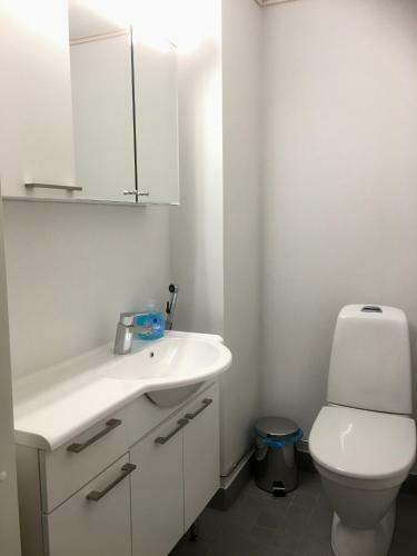 Apartamento Sointuilevi