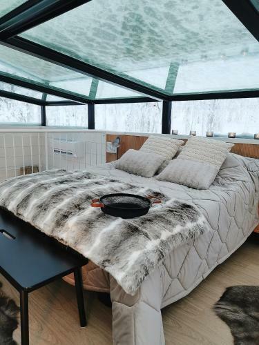 Villa Levi Sky Igloo