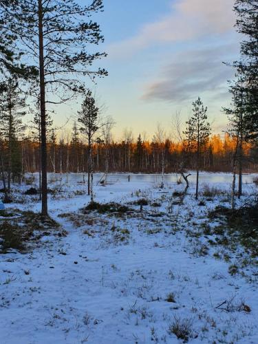 Riverside Cottage Near Yll�s, Lapland