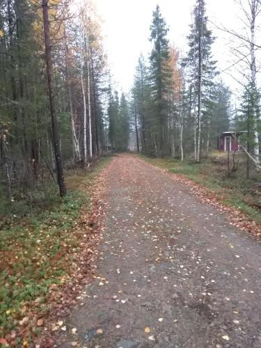 Riverside Cottage Near Yll�s, Lapland