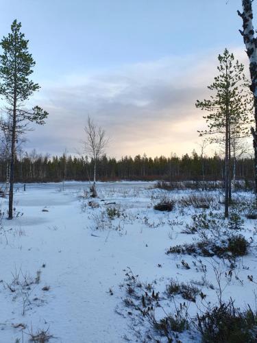 Riverside Cottage Near Yll�s, Lapland