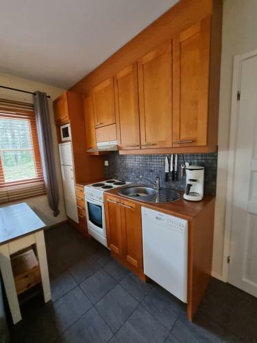 Apartamento Levi Etel�rinne Huoneisto