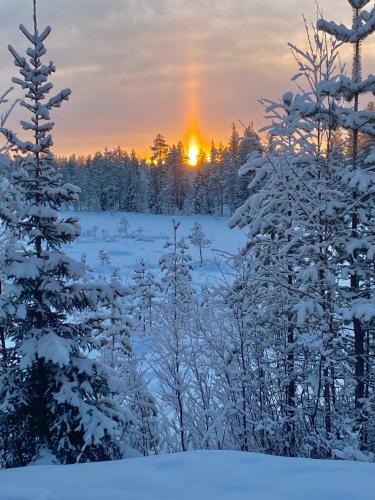 Yll�sj�rven Villa Veikko Grillikodalla