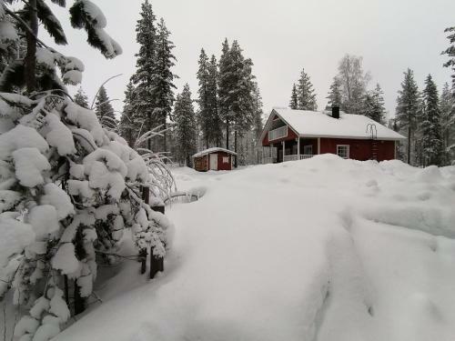 Villa Velhonkieppi