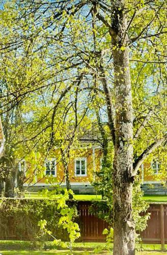 Eleonora Bed & Breakfast