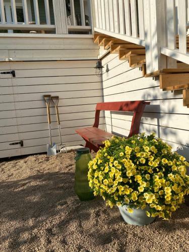 Eleonora Bed & Breakfast
