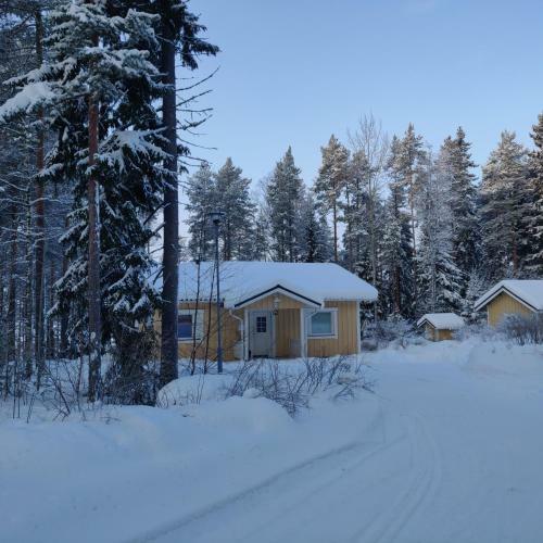 Lake Cottage J�nisvaara