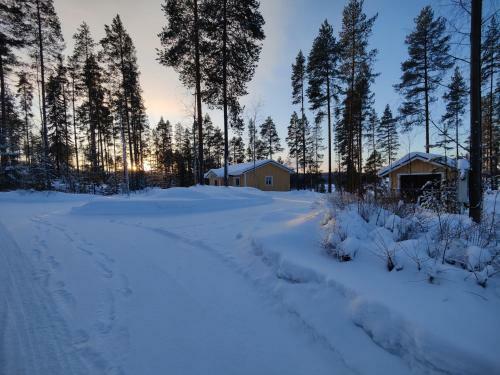 Lake Cottage J�nisvaara
