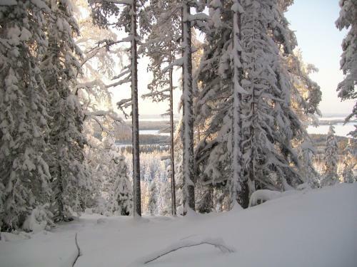 Lake Cottage J�nisvaara