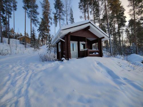 Lake Cottage J�nisvaara