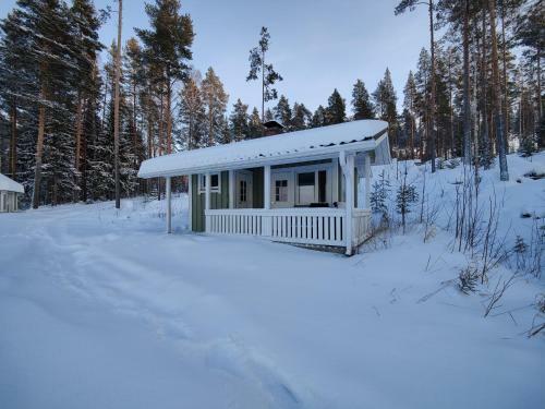 Lake Cottage J�nisvaara