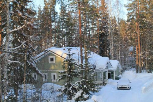 Lake Cottage J�nisvaara