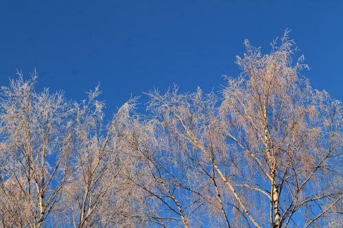 Lake Cottage J�nisvaara