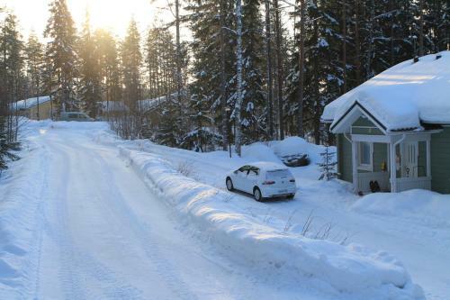 Lake Cottage J�nisvaara
