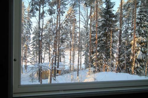 Lake Cottage J�nisvaara
