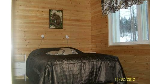 Lake Cottage J�nisvaara